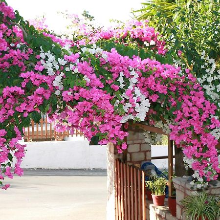 Kastro Apartments Pánormos Dış mekan fotoğraf