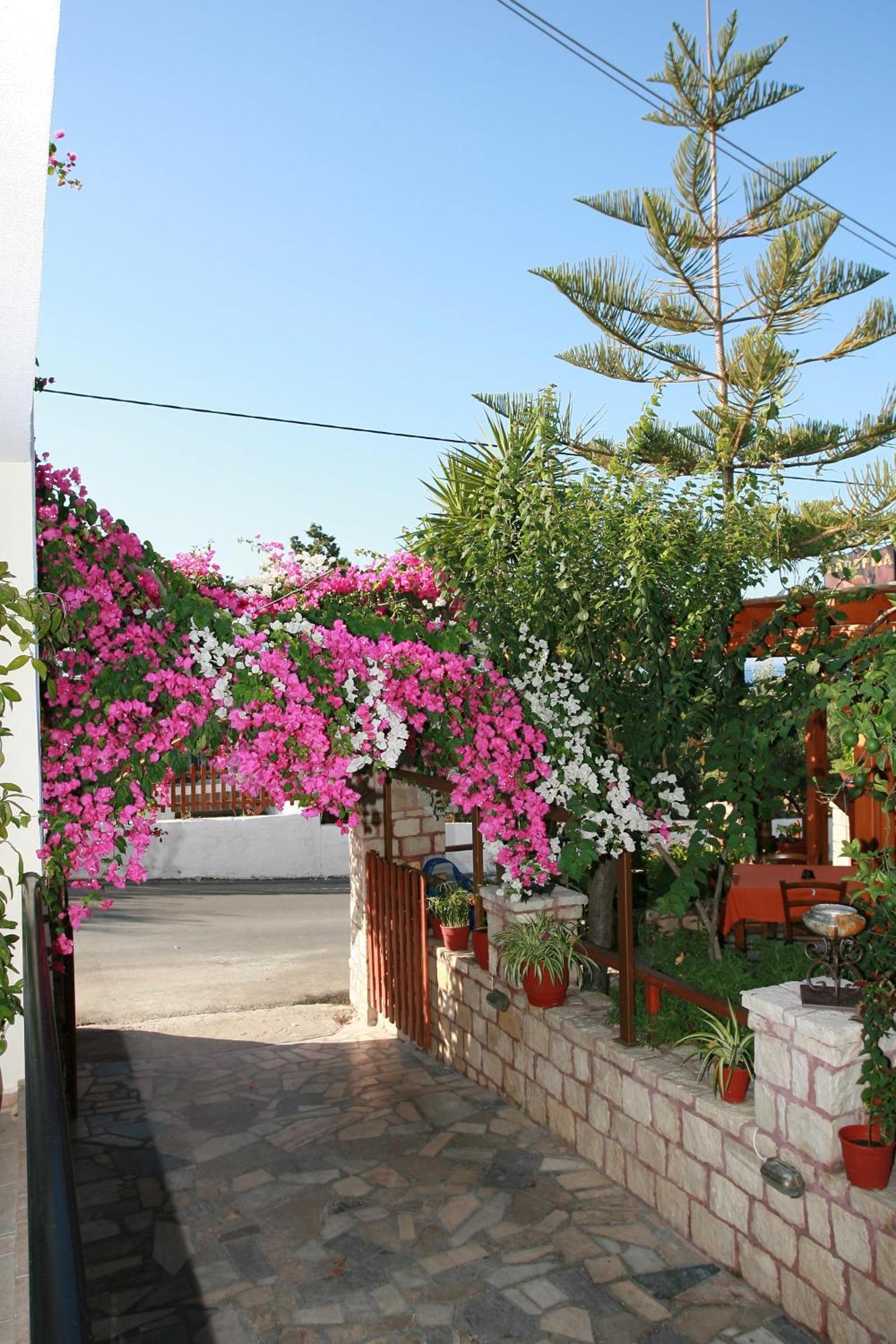 Kastro Apartments Pánormos Dış mekan fotoğraf